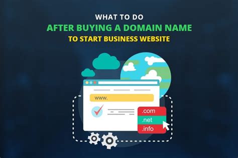 How to Build a Website After Buying Domain Name: A Journey Through the Digital Forest