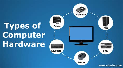 What are the main types of computer software? Check all that apply. And why do we even need software when we have hardware?